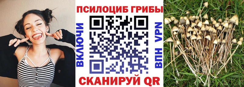 Галлюциногенные грибы GOLDEN TEACHER  Новочебоксарск 